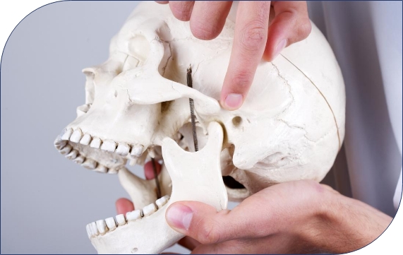 Understanding Deep Bite